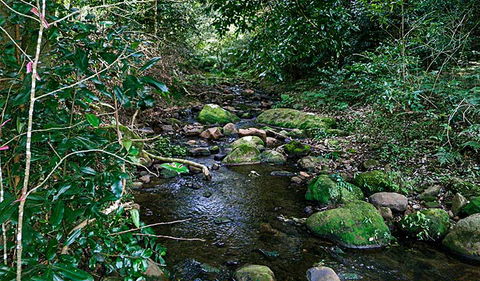 Macquarie Pass National Park - Accommodation Newcastle 0