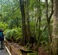 Monga National Park - Accommodation Newcastle