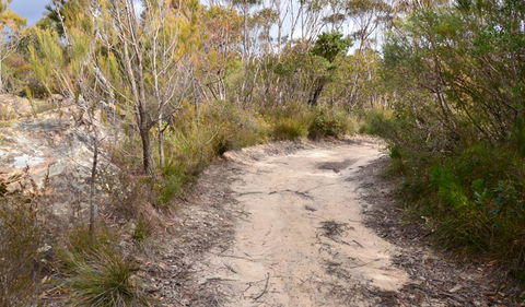Cambewarra Range Nature Reserve - Accommodation Newcastle 1