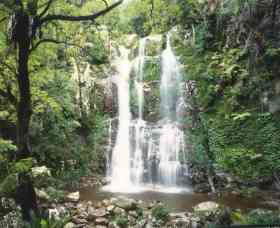 Budderoo National Park - The Falls Walk - Accommodation Newcastle 0
