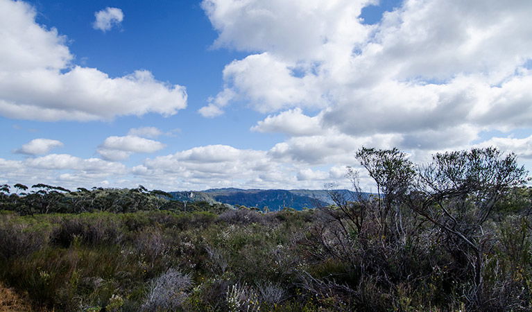 Barren Grounds NSW Accommodation Newcastle