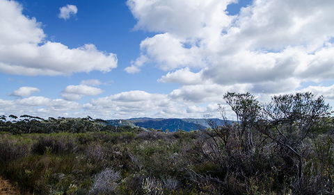 Barren Grounds Nature Reserve - Accommodation Newcastle 0