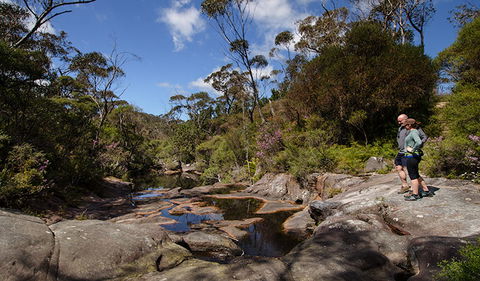Barren Grounds Nature Reserve - Accommodation Newcastle 1