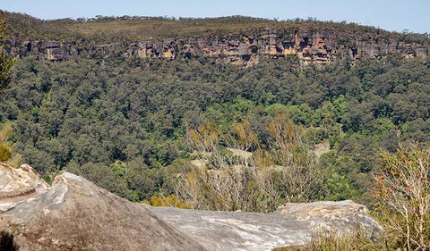 Barren Grounds Nature Reserve - Accommodation Newcastle 3