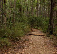 Pigeon House Mountain Didthul walking track - Accommodation Newcastle