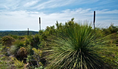 Munmorah State Conservation Area - Accommodation Newcastle 1