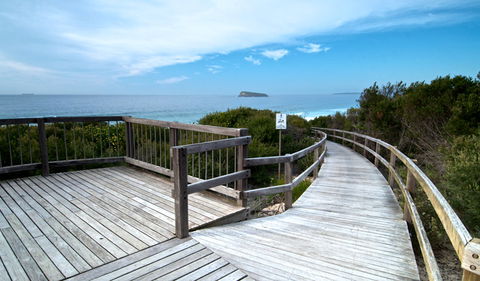 Tea Tree Picnic Area And Lookout - Accommodation Newcastle 0