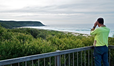 Tea Tree Picnic Area And Lookout - Accommodation Newcastle 2