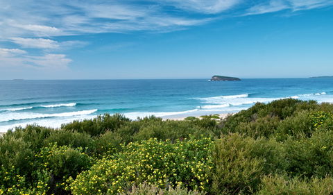 Tea Tree Picnic Area And Lookout - Accommodation Newcastle 3