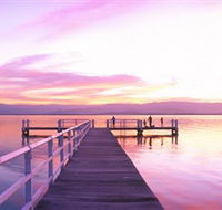 Lake Illawarra - Accommodation Newcastle