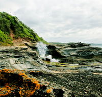 Glenrock State Conservation Area - Accommodation Newcastle