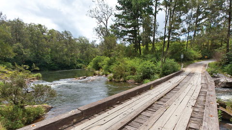 Nymboi-Binderay National Park - Accommodation Newcastle 2