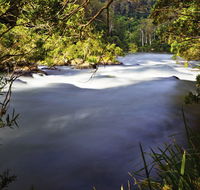 Nymboi-Binderay National Park - Accommodation Newcastle