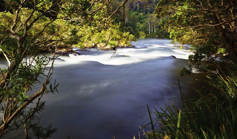 Nymboi-Binderay National Park - Accommodation Newcastle 0