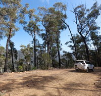 Wadbilliga Road drive - Accommodation Newcastle