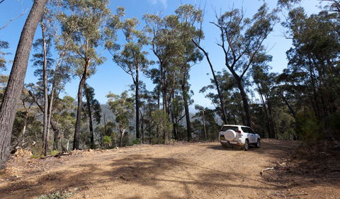 Wadbilliga Road Drive - Accommodation Newcastle 0