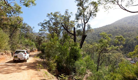 Wadbilliga Road Drive - Accommodation Newcastle 1