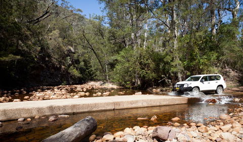 Wadbilliga Road Drive - Accommodation Newcastle 2