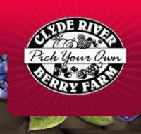 Clyde River Berry Farm - Accommodation Newcastle