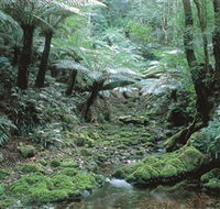 The Corn Trail Walk - Accommodation Newcastle