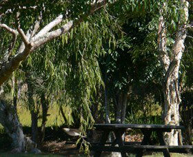 Backmede NSW Accommodation Newcastle