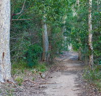 Delta track - Accommodation Newcastle