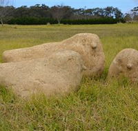 Unreal Rocks Statue Gallery - Accommodation Newcastle