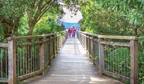 Skywalk Lookout - Accommodation Newcastle 0