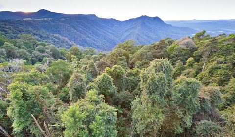 Skywalk Lookout - Accommodation Newcastle 2