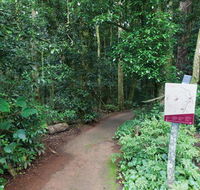 Walk with the Birds boardwalk - Accommodation Newcastle