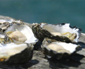 Jim Wilds Oyster Service - Accommodation Newcastle 0