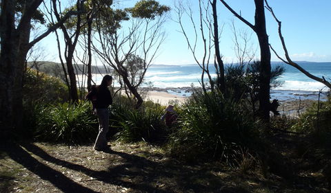 Monument Beach Picnic Area - Accommodation Newcastle 2