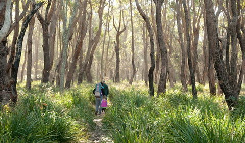 Nerindillah Lagoon Walking Track - Accommodation Newcastle 3