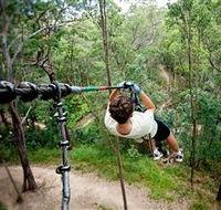 TreeTop Challenge - Accommodation Newcastle