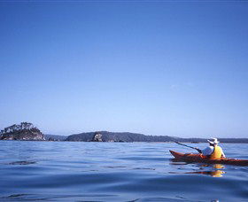 Kayaking Batemans Bay - Accommodation Newcastle 0
