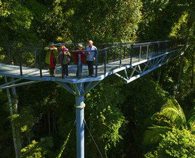 Tamborine Rainforest Skywalk - Accommodation Newcastle 1