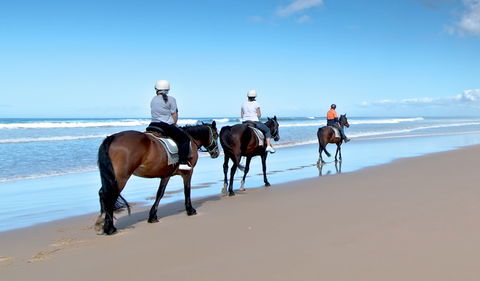 Worimi National Park - Accommodation Newcastle 1