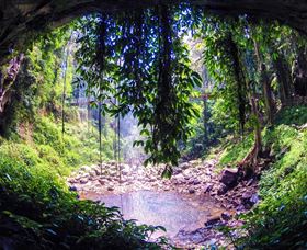 Dorrigo Rainforest Centre - Accommodation Newcastle 1