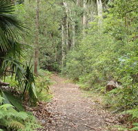 Lake walking track - Accommodation Newcastle