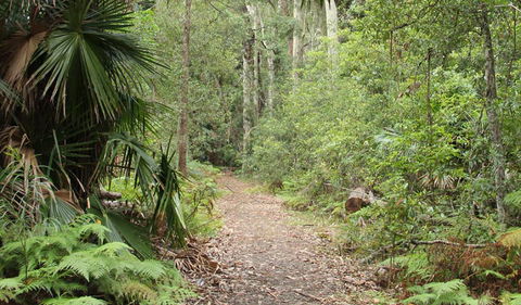 Lake Walking Track - Accommodation Newcastle 0