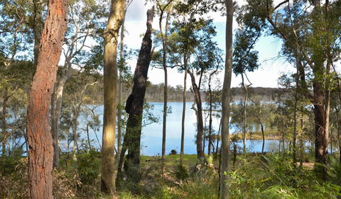 Lake Walking Track - Accommodation Newcastle 1