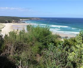 South Pacific Heathland Reserve - Accommodation Newcastle 0