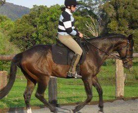 Kings Creek Saddle Club - Accommodation Newcastle 6