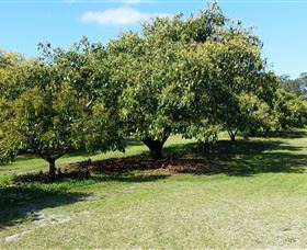 The Avocado Farm - Accommodation Newcastle 1