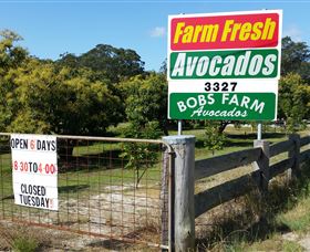 The Avocado Farm - Accommodation Newcastle 3