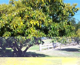The Avocado Farm - Accommodation Newcastle 2