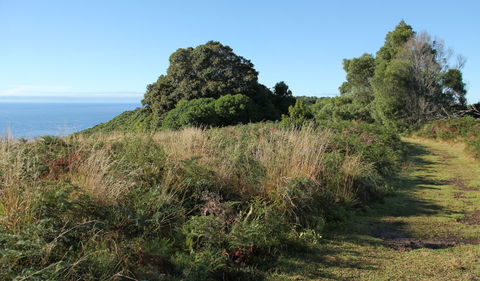 Pretty Beach To Durras Mountain Walking Track - Accommodation Newcastle 2