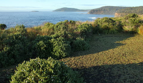 Pretty Beach To Durras Mountain Walking Track - Accommodation Newcastle 3
