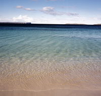 Hyams Beach trail - Accommodation Newcastle