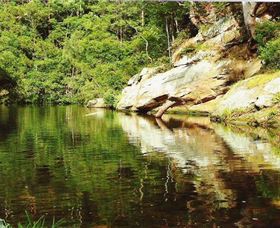 Numinbah Valley Adventure Trails - Accommodation Newcastle 1